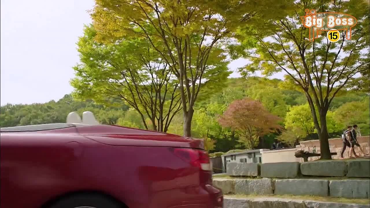 Для тебя во всем цвету / To The Beautiful You (2012)