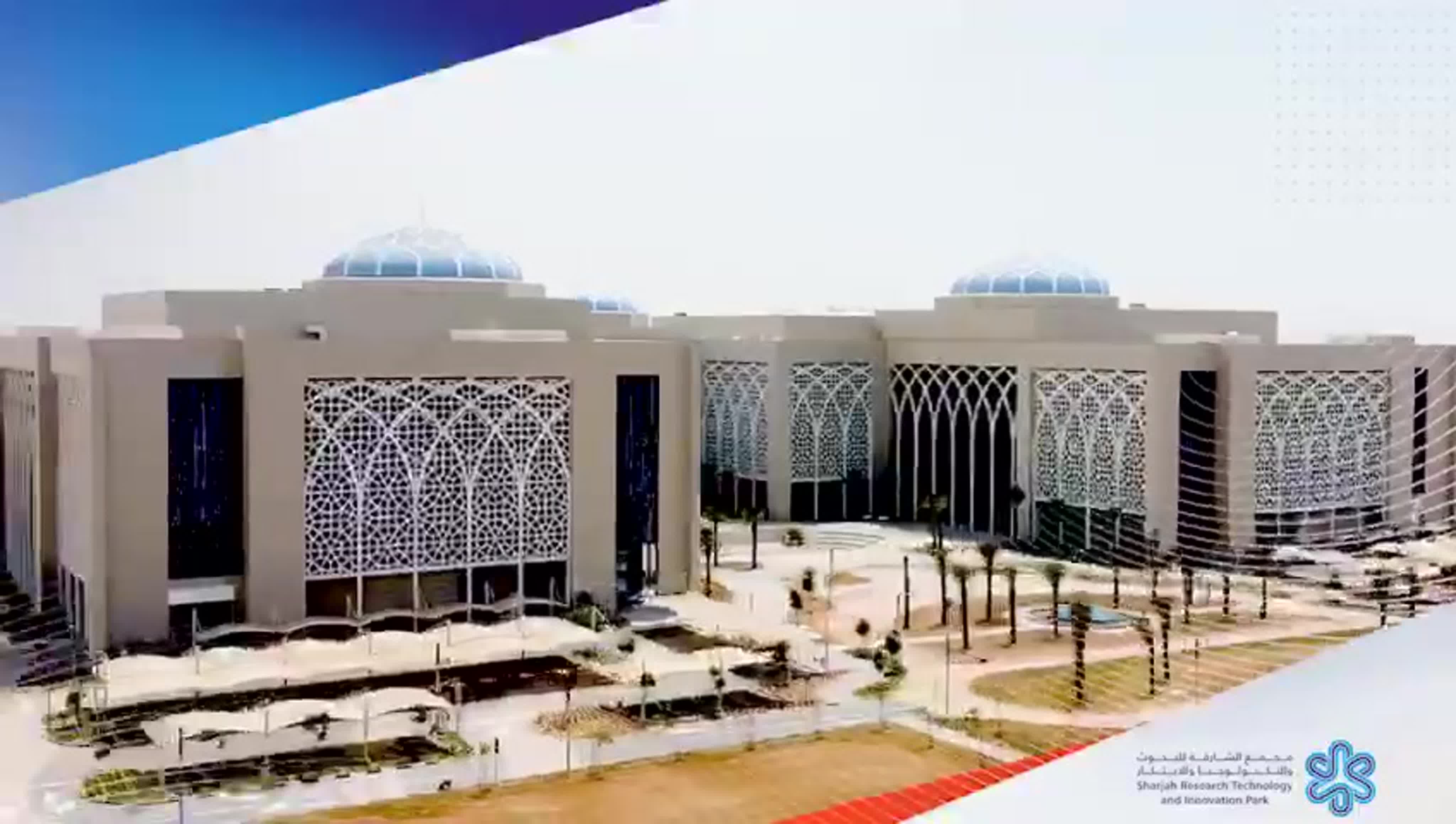 Репортажи SkyWay