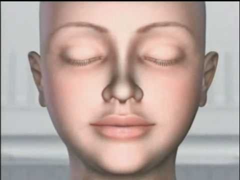 МЕДИТАЦЯ, МАНТРА, ЯНТРА