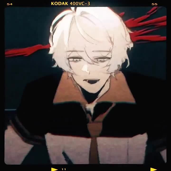 – ✧ honkai impact / gakuen / star rail