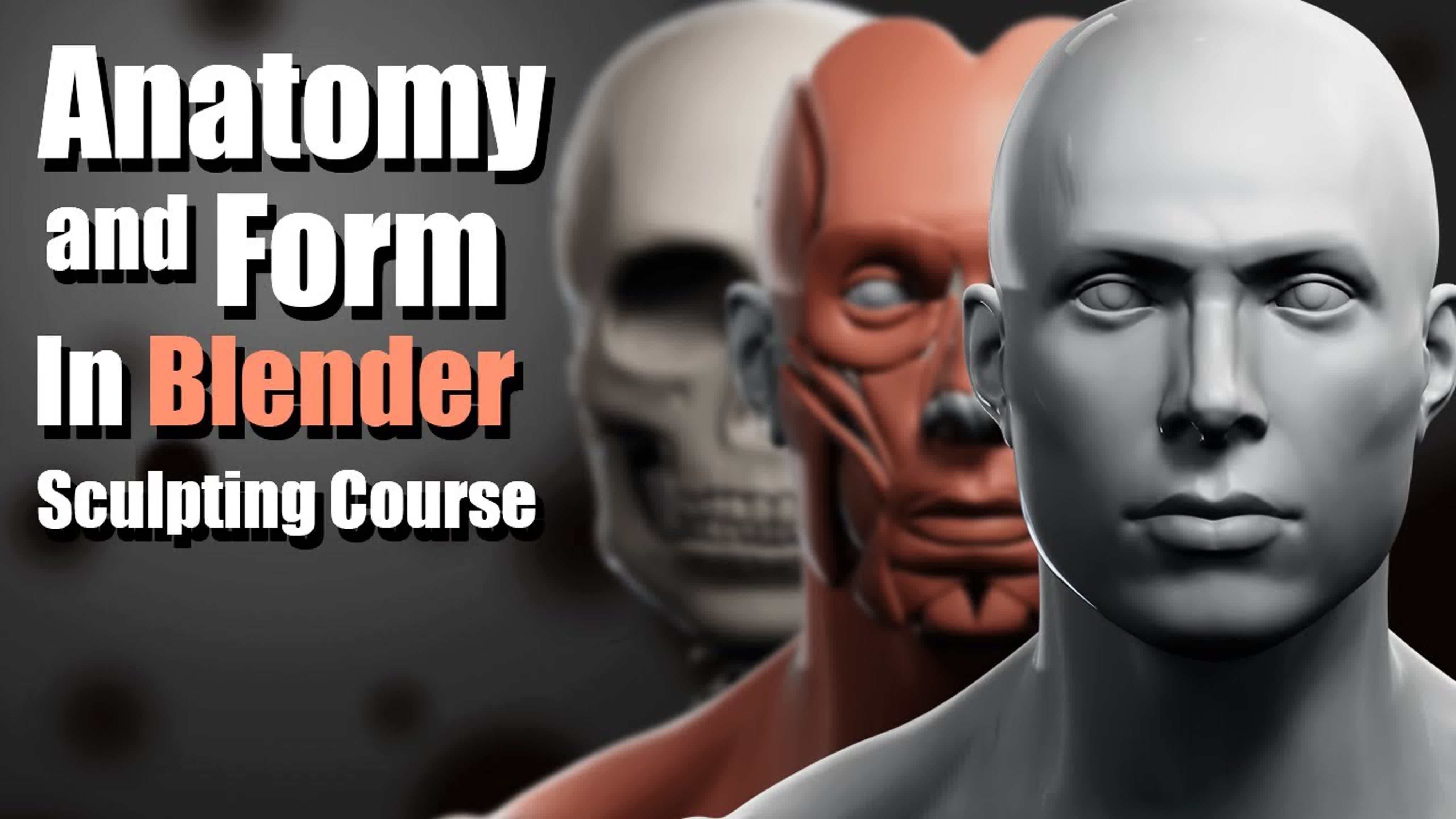 YanSculpts - Anatomy and Form in Blender 2.91 - Sculpting Course (2021)