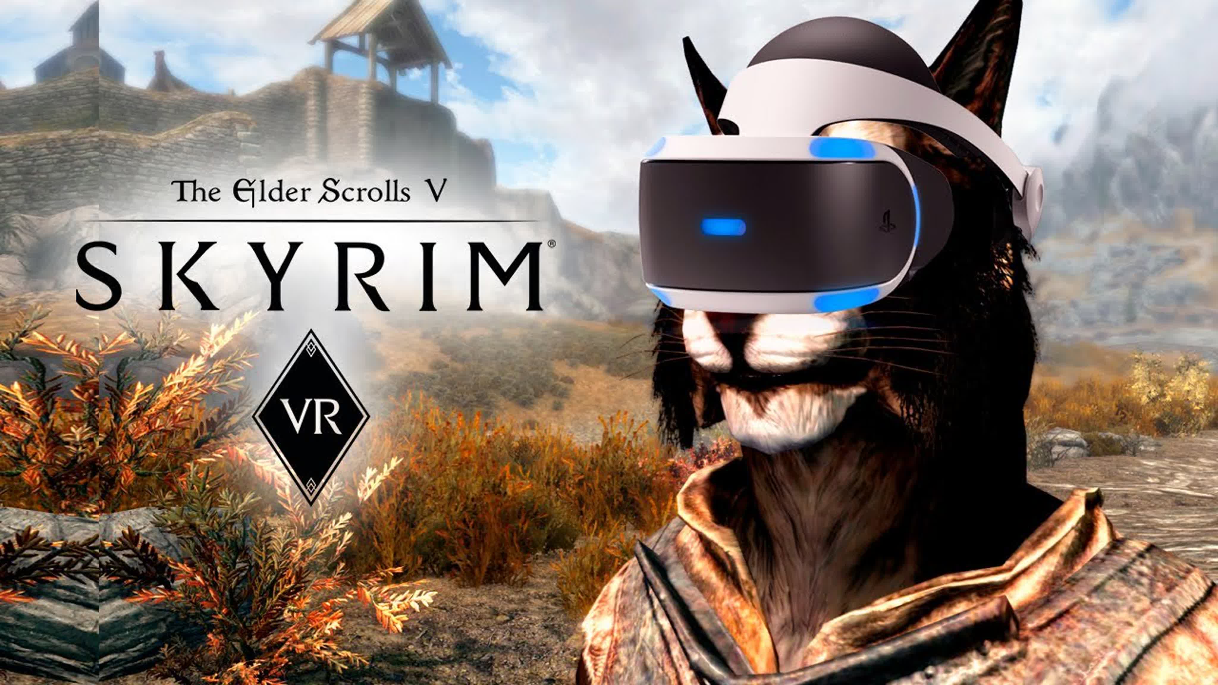 Skyrim VR