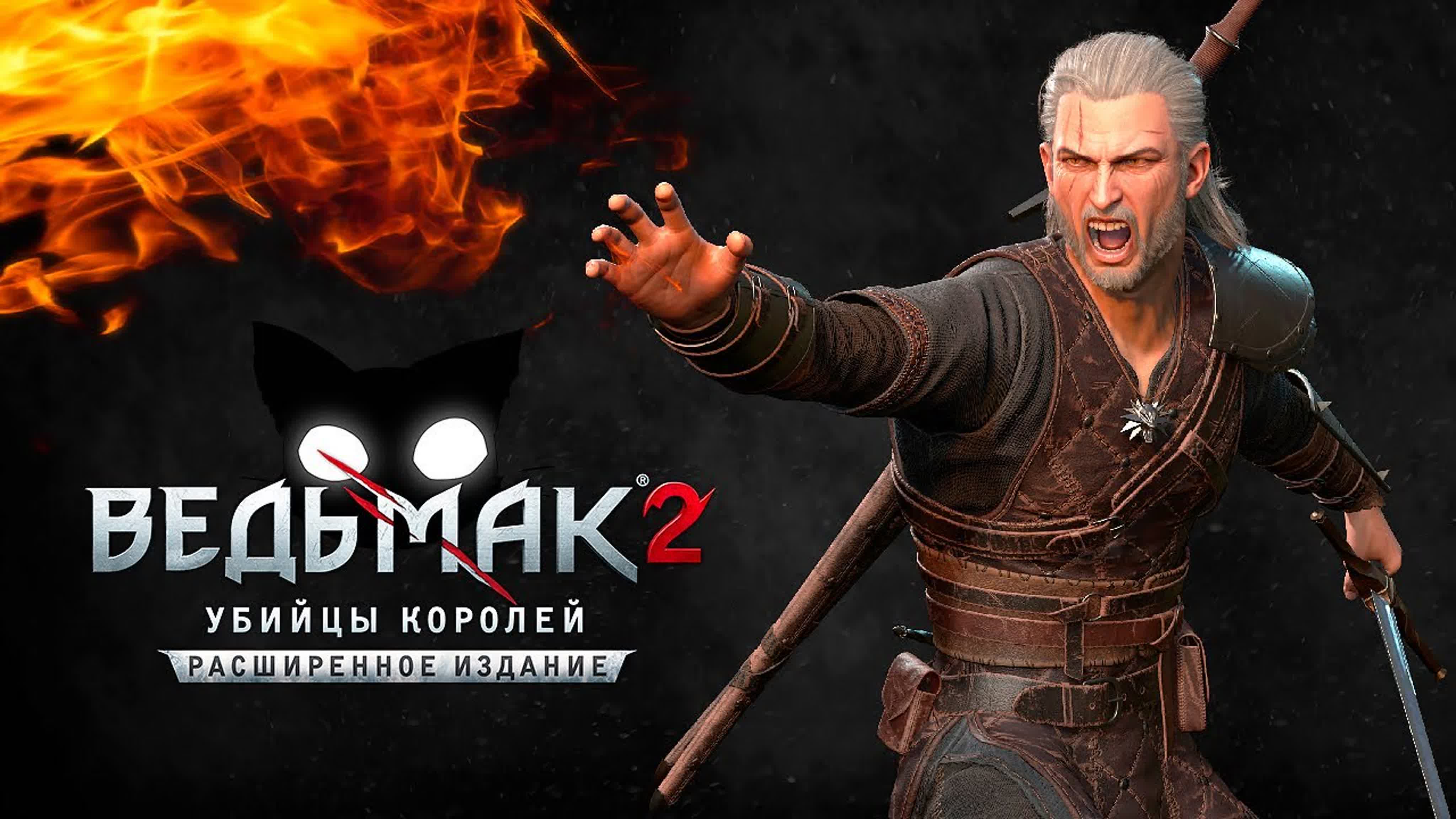 The Witcher 2: Assassins of Kings