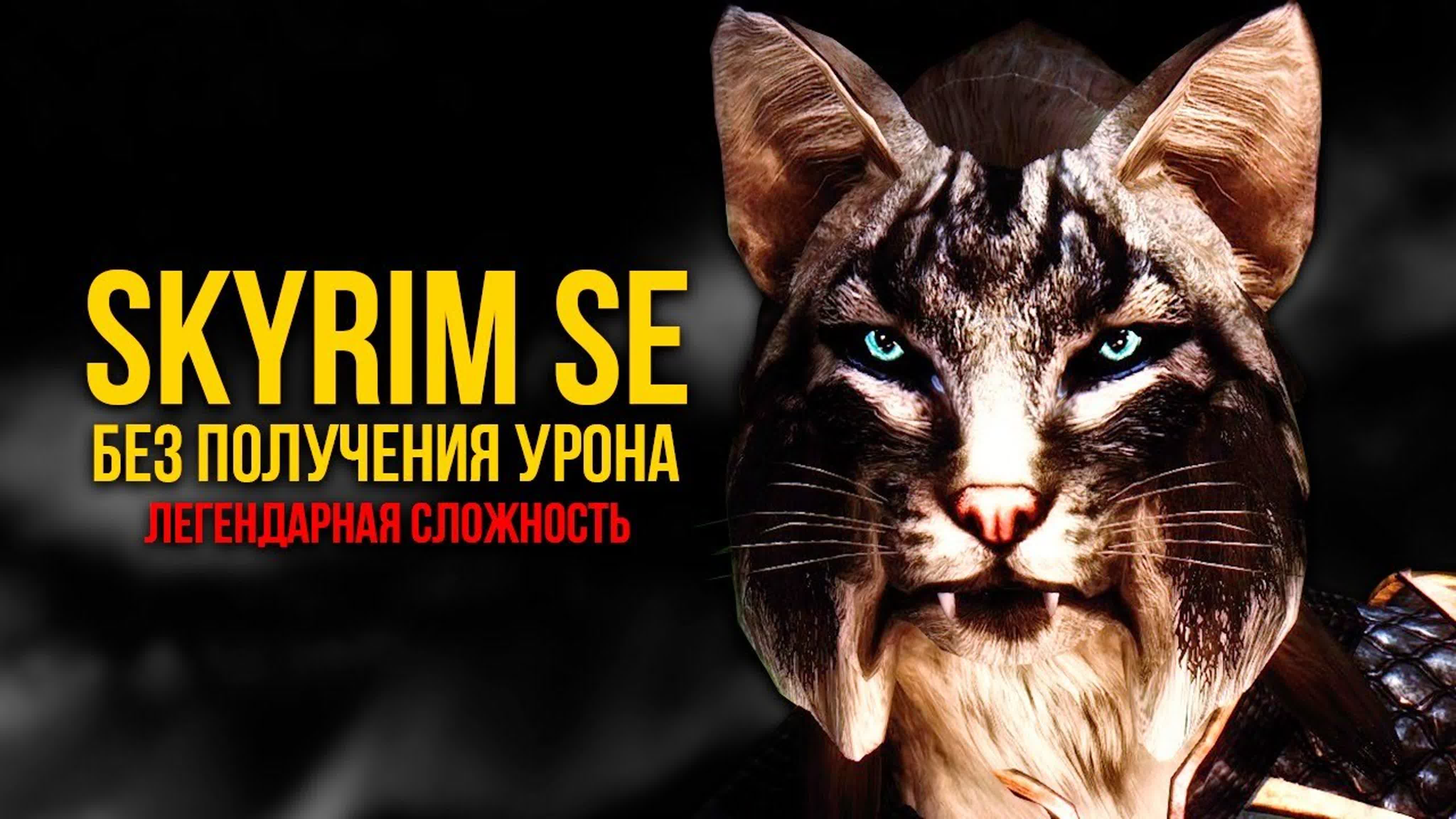 SKYRIM БЕЗ ПОЛУЧЕНИЯ УРОНА