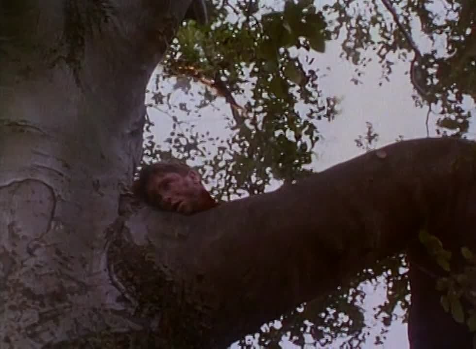 Секретный агент (The Secret Agent (1996)