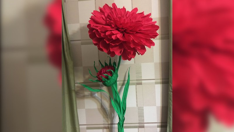 ростовые цветы