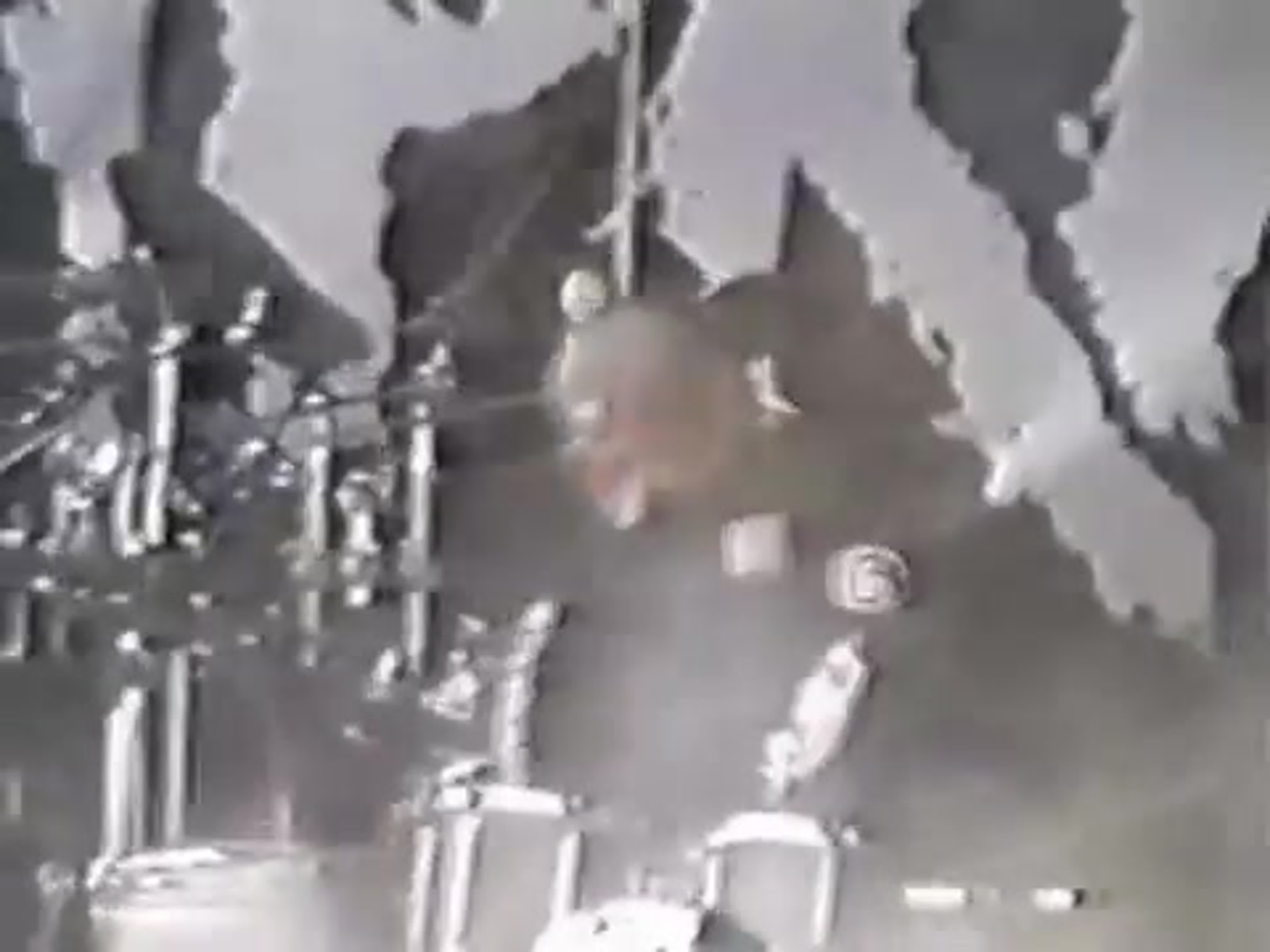 Ozzfest. Июнь, 1999.