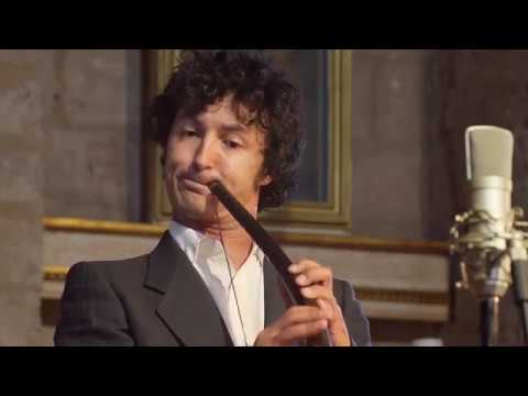 Кастелло Дарио (1602-1631)