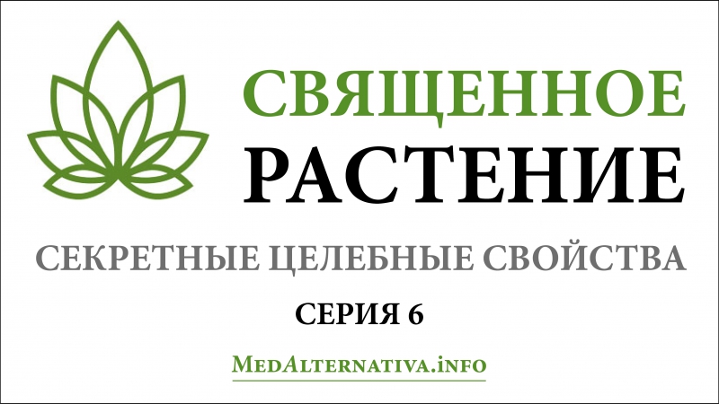 Конопля и психоделики