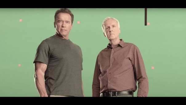 Вегетарианство