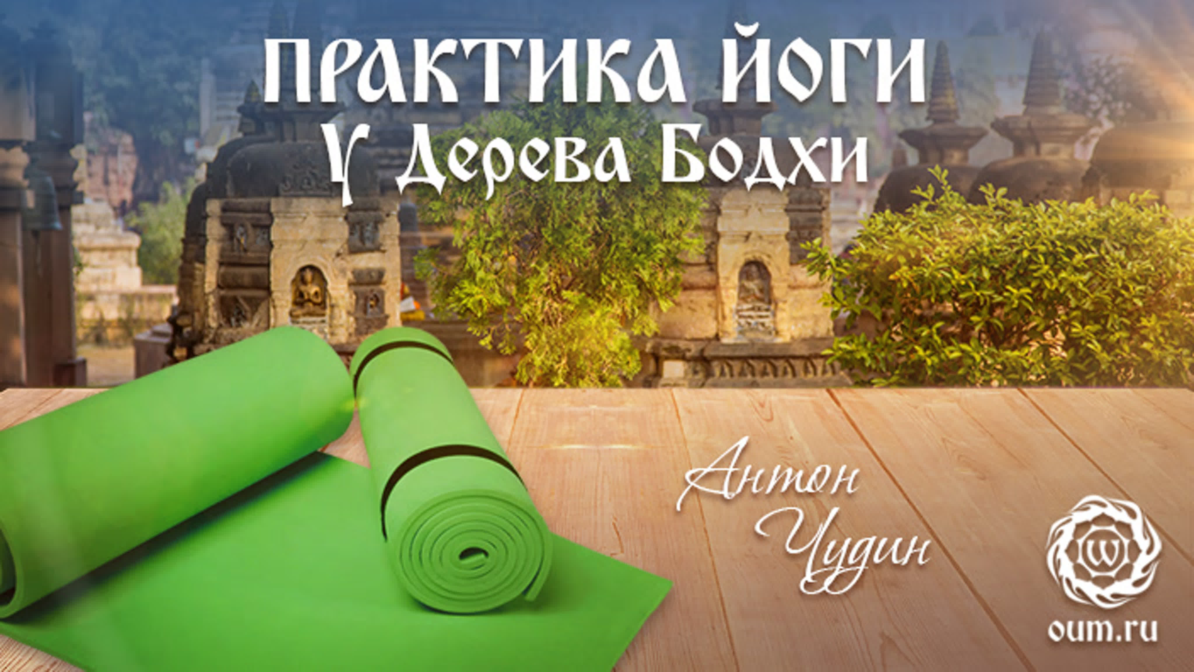 Антон Чудин. Лекции и практики