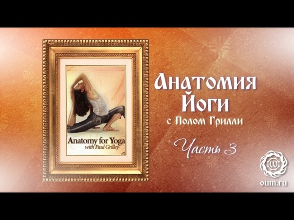 Анатомия йоги