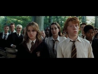 Рон и Гермиона