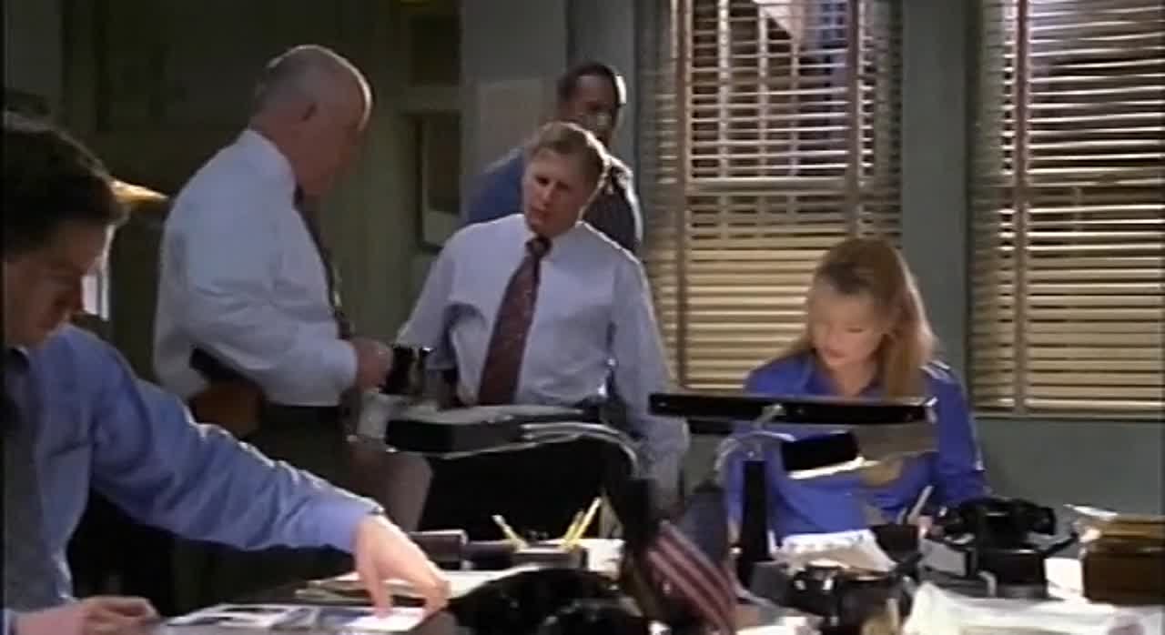 Полиция Нью-Йорка (2004)