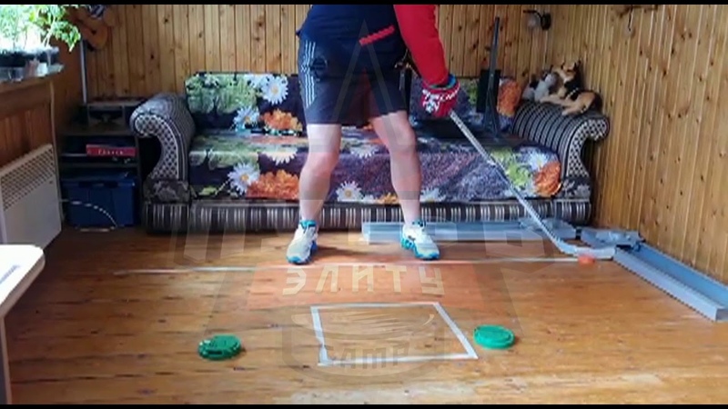 ТЕХНИКА ВЛАДЕНИЯ КЛЮШКОЙ. С.Е. МОГИЛЕВЦЕВ