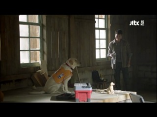 =ДОРАМА= Падам,падам