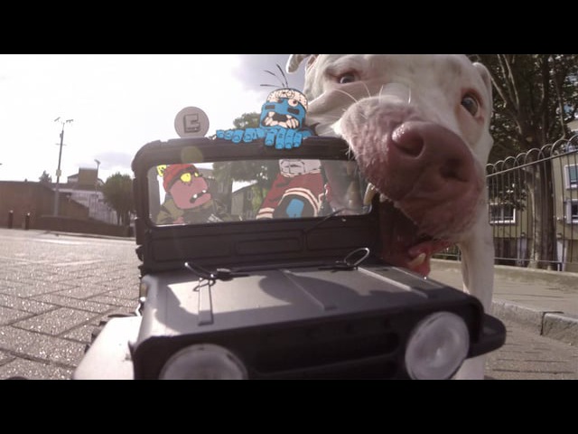 МУЗЫКАЛЬНЫЙ КЛИП