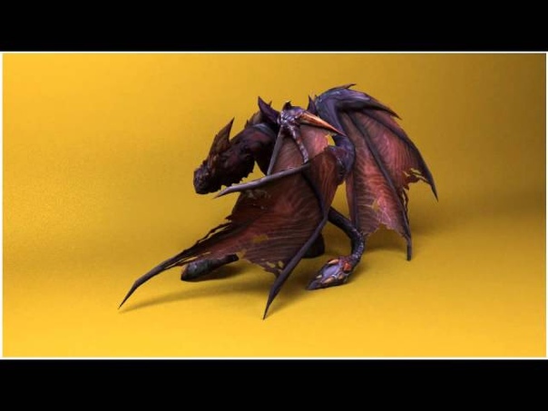 ПОРТФОЛИО участников