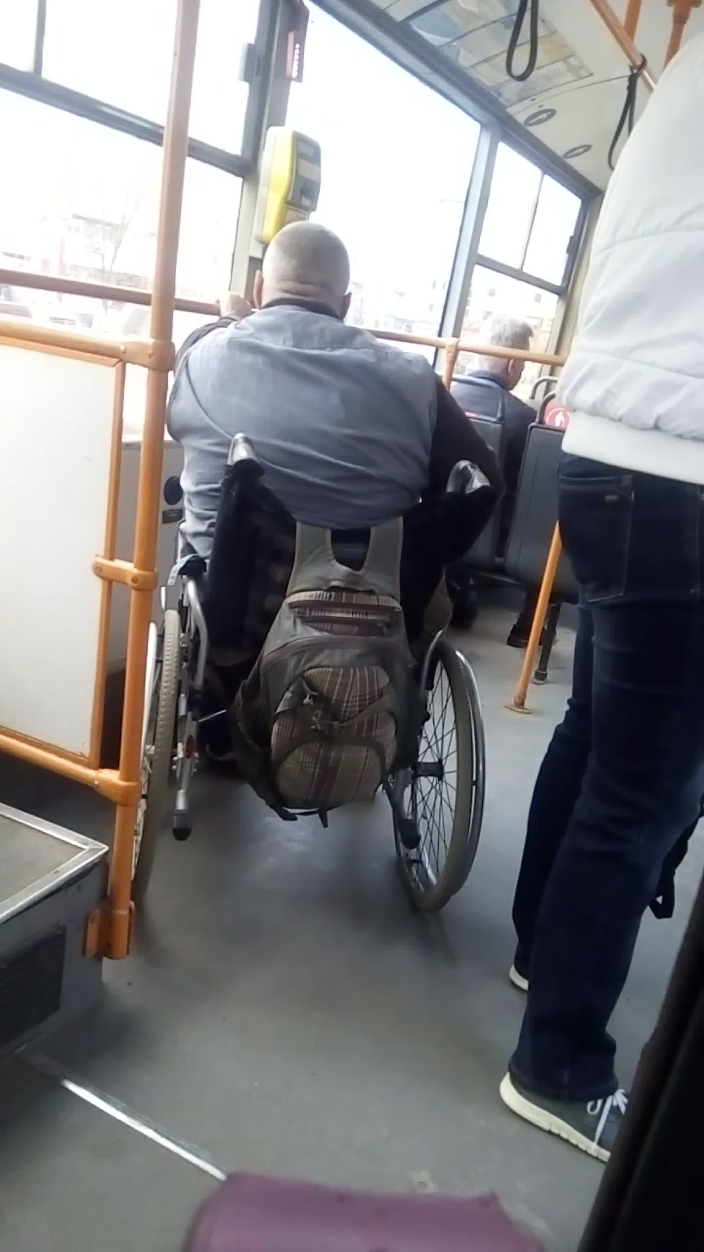 Наглый бык без ноги на коляске посреди перехода к Комаровке