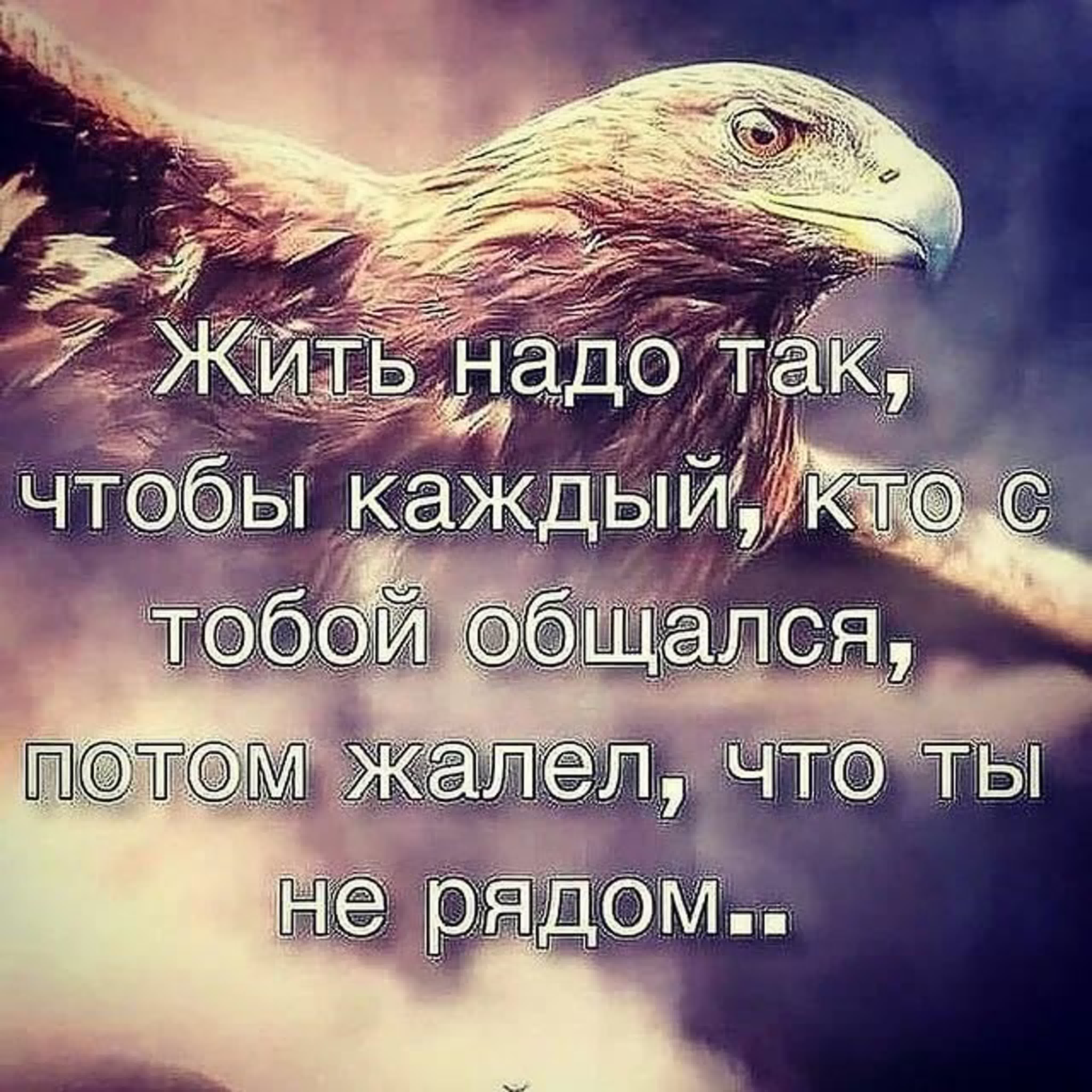 12. Цитаты