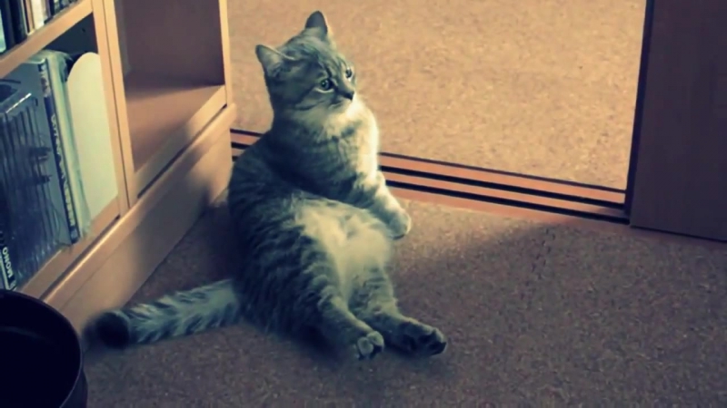 Интересно посмотреть