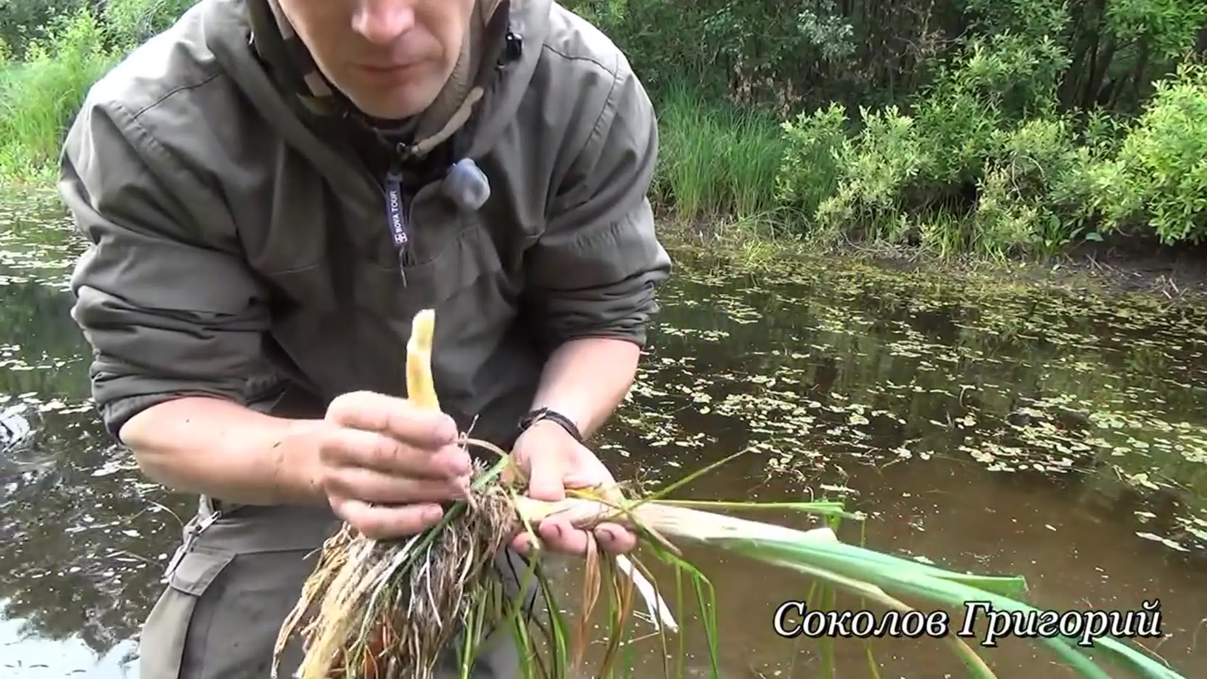 как крыть крыши