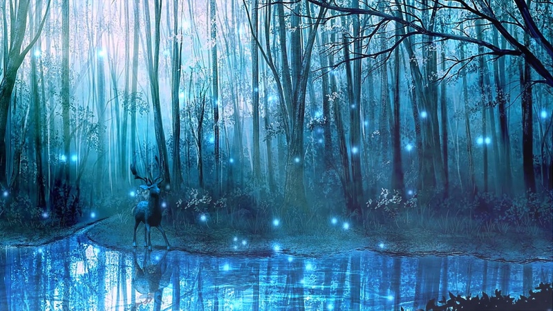 Новогодние и зимние футажи