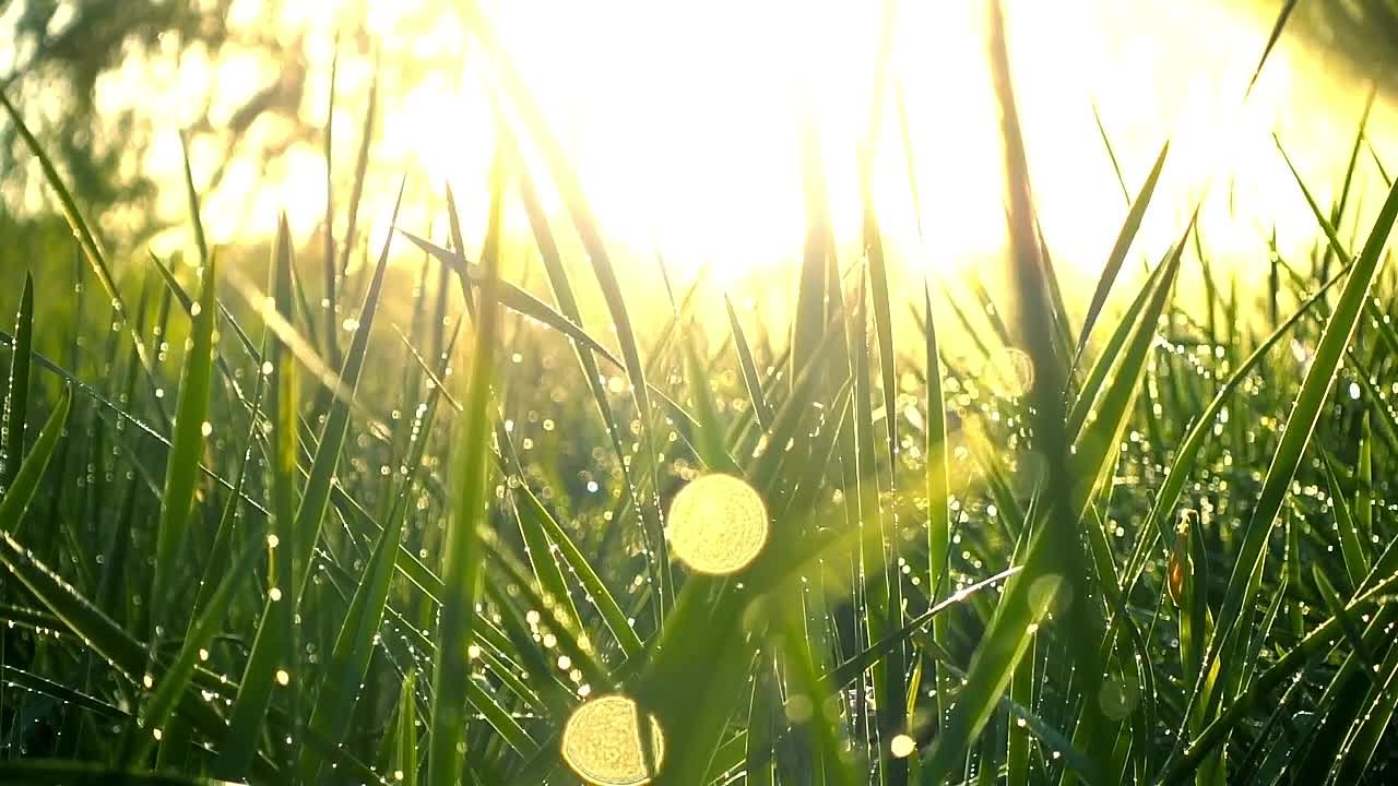 Руководство по йоге от Павла Калягина