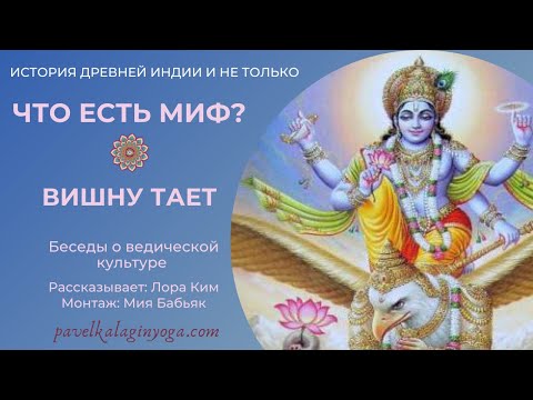 Короткие видео на несколько минут (духовные, шуточные с котами ашрама, практики)