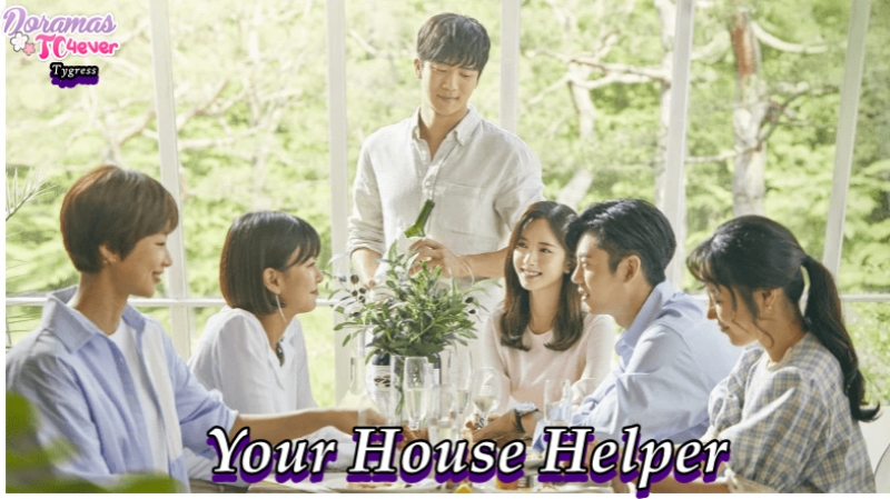 YOUR HOUSE HELPER  (K)   ✔