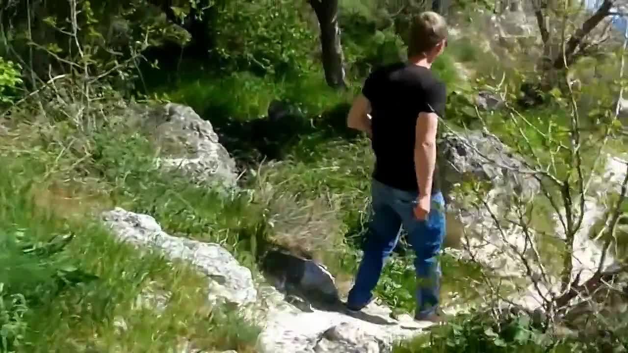 Путешествия