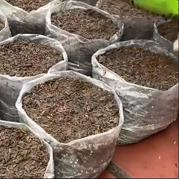 Своими руками