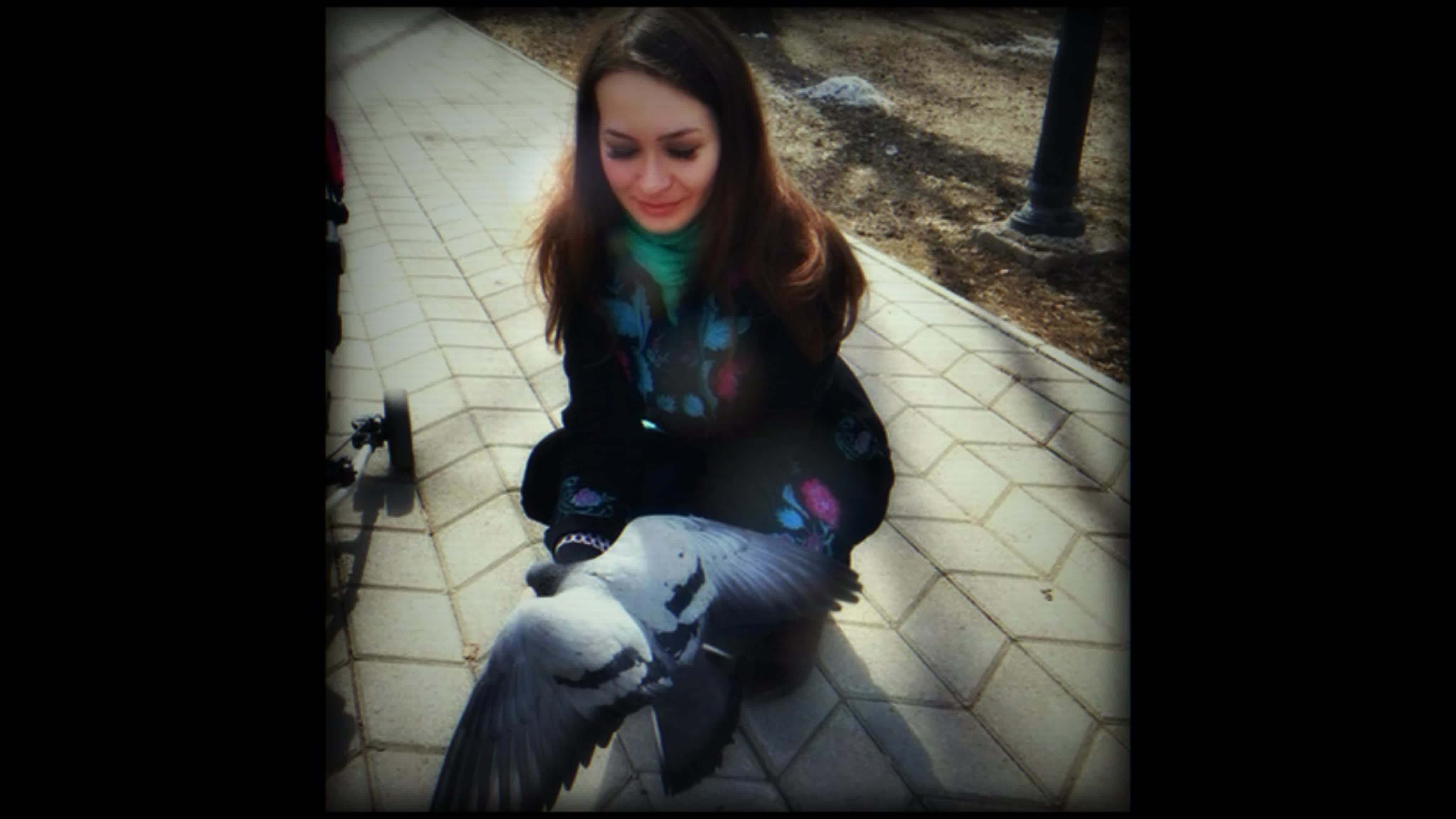 Моё творчество под псевдонимом Dark Wolf