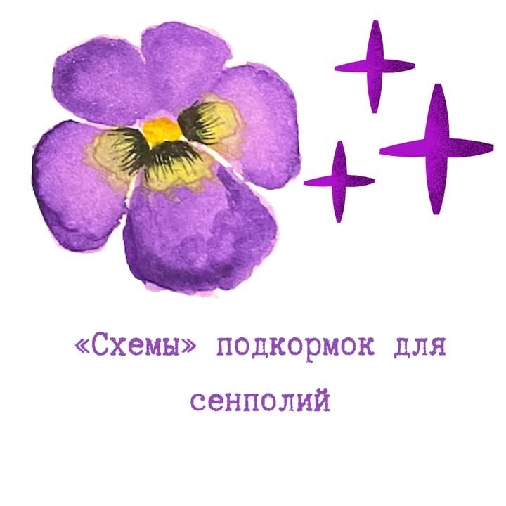 ВИДЕО ОТ НАШЕГО КЛУБА