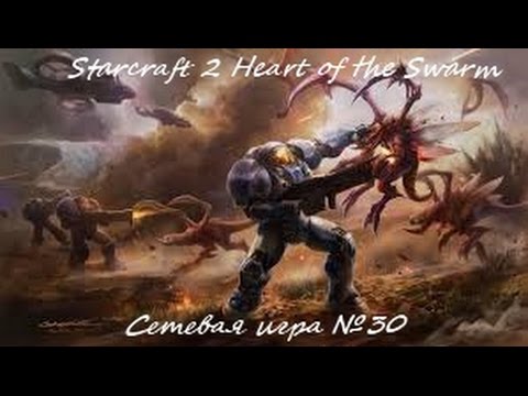 Starcraft 2 Heart of the Swarm сетевая игра