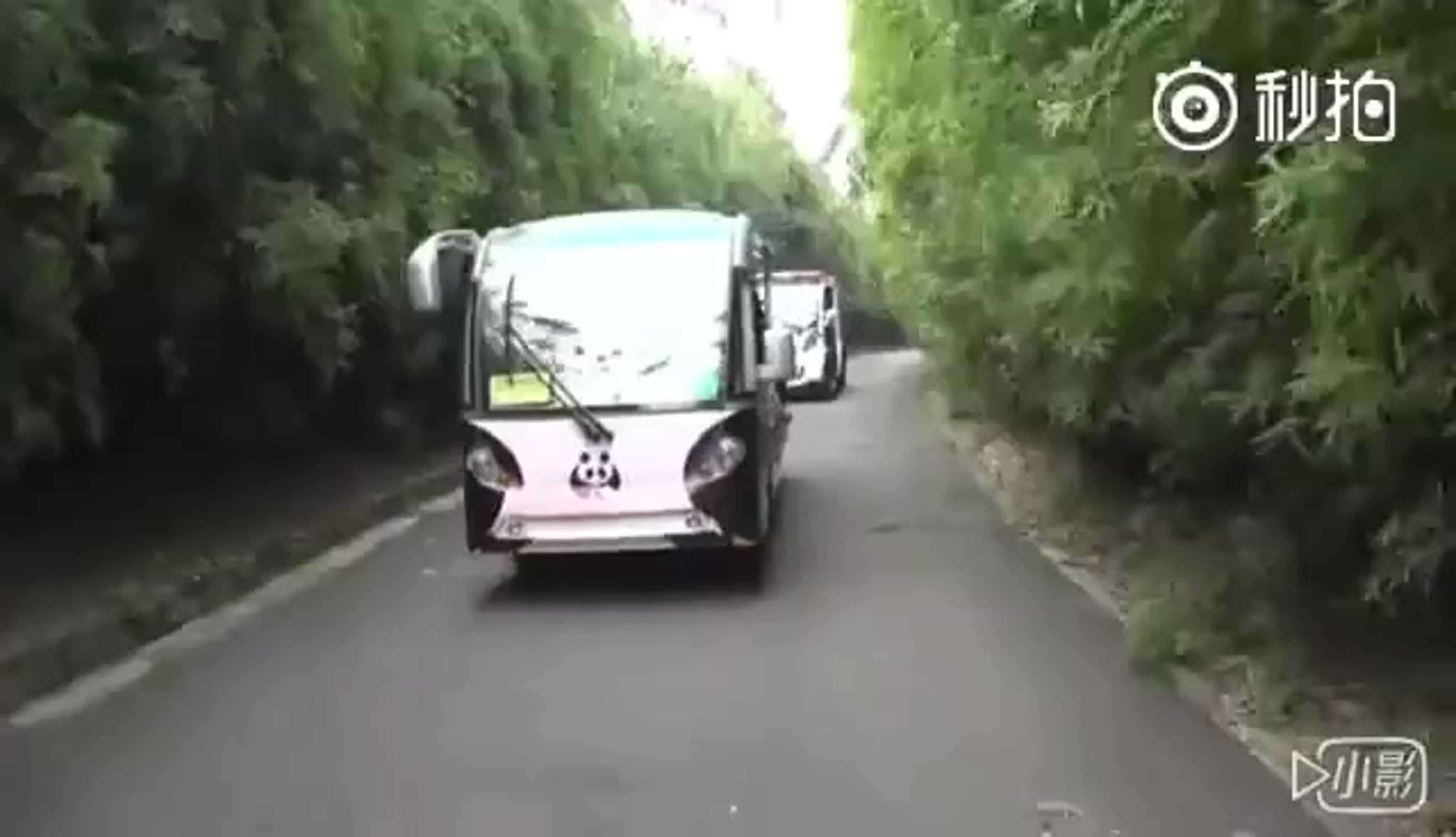 Я певец 2017 год с участием ДИМАШа