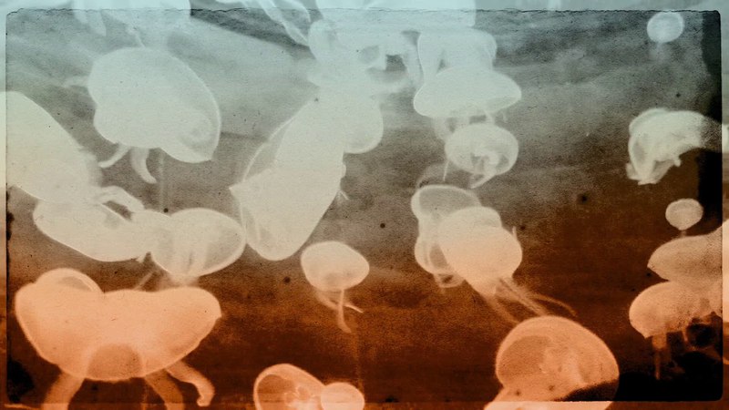 SO Duo - Ay Ana © 2018 Kalan Müzik