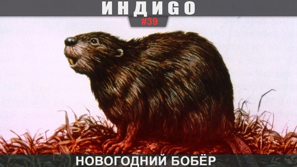 ИндиGO