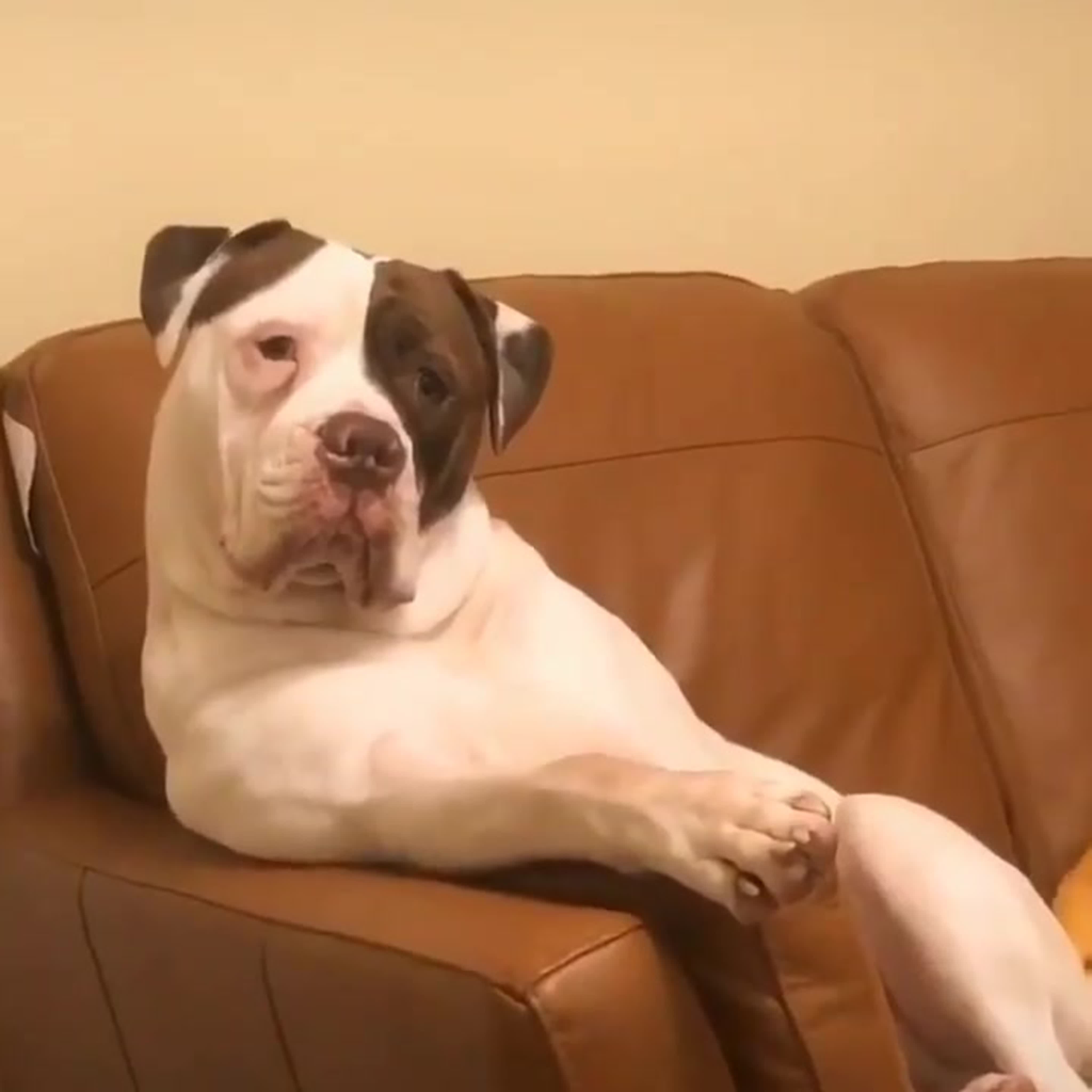 Планета Земля