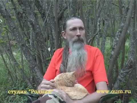 Трехлебов Алексей Васильевич