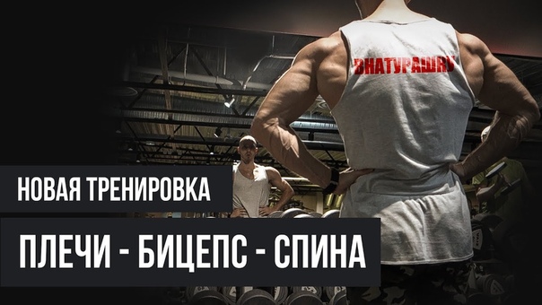 план тренировок для каждого