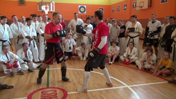 КЁКУСИНКАЙ-КИК