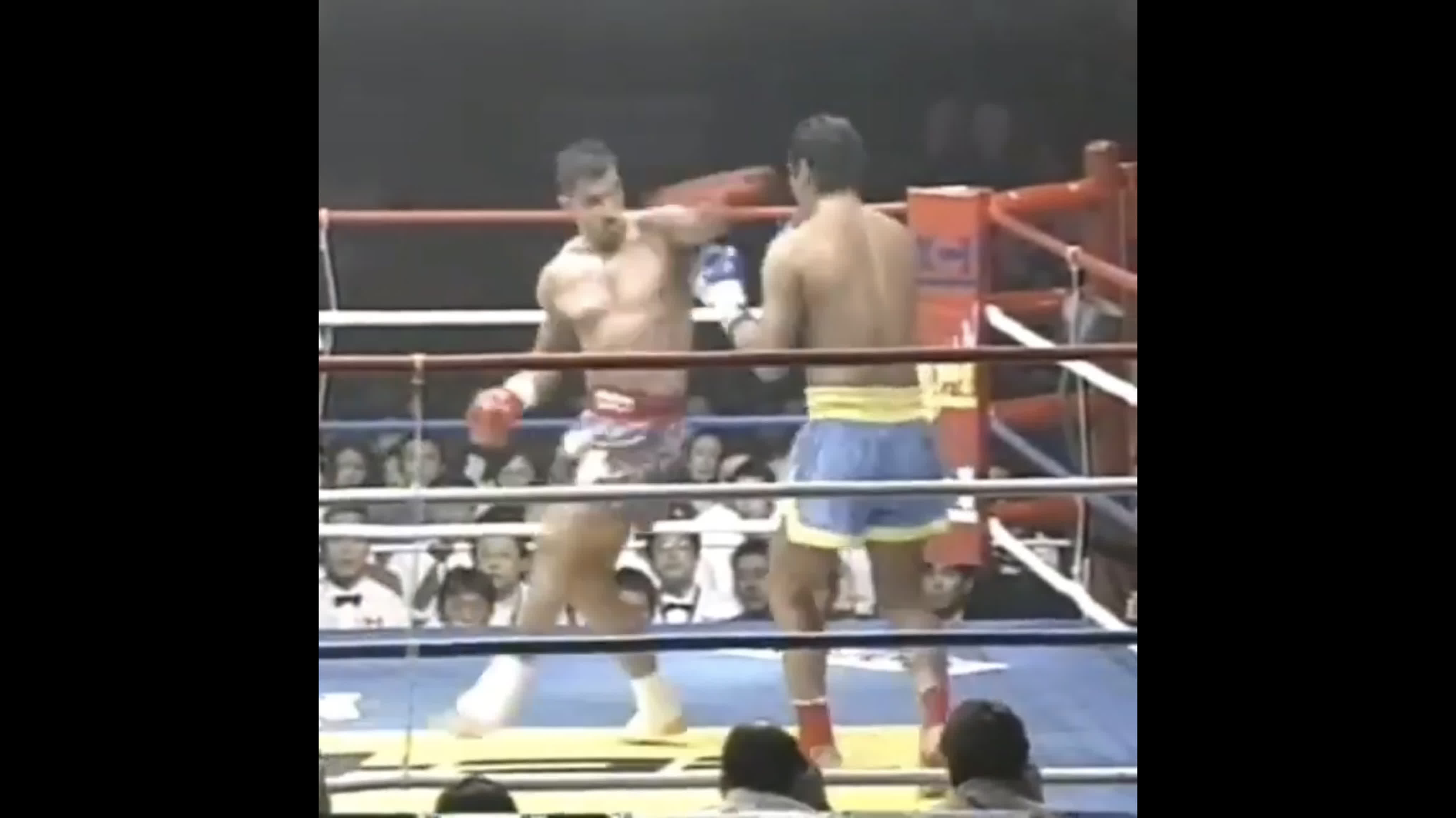 ММА, UFC, BJJ, GRAPPLING, КУДО, K-1 и т.д. и т.п.