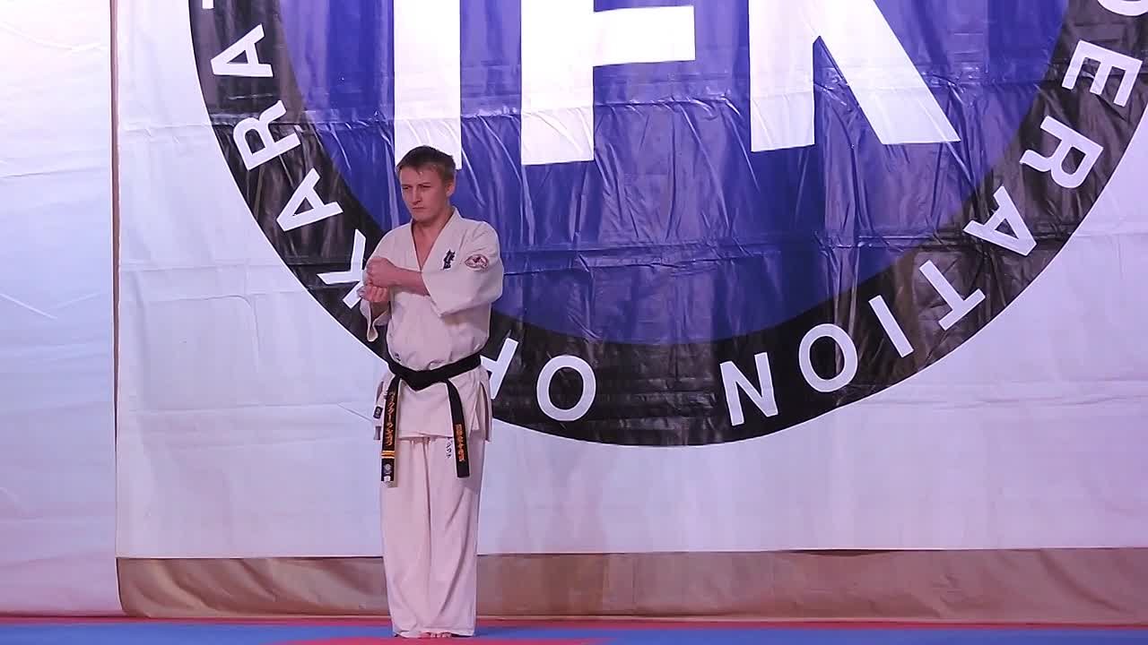 Турниры по Кёкусинкай памяти П.П.Каплина. Медгора. Петрович.