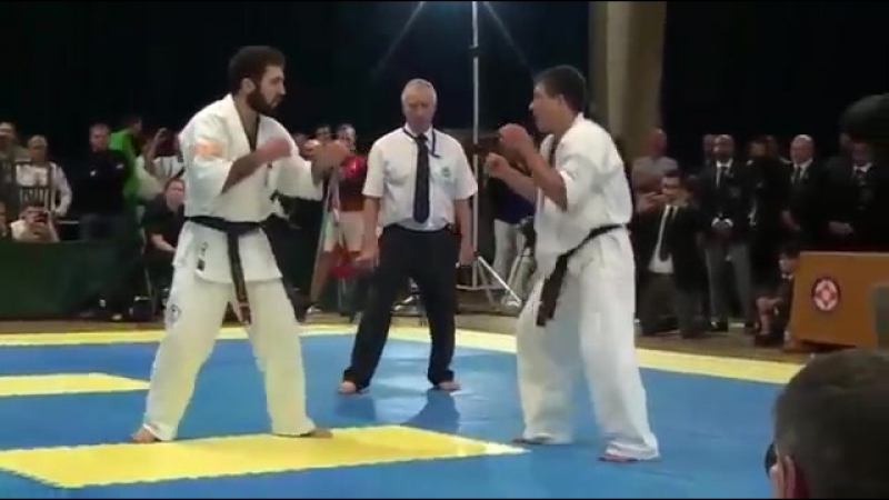 Моисеев Дмитрий