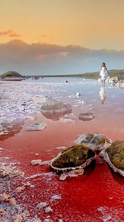 Умные фразы,...