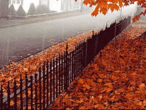 Татьяна и Сергей Никитины