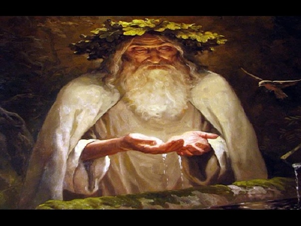 Травы лекарственные