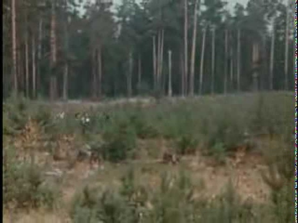 Валерий Золотухин