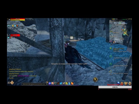 Стримы по игре Riders of Icarus